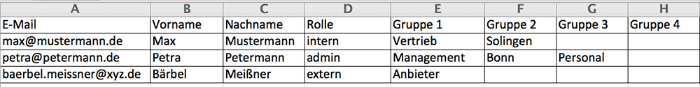 Nutzer einladen Massenupload Beispiel Tabelle